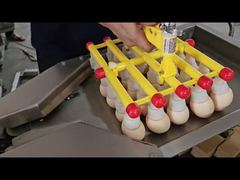 EGG CRACKING 